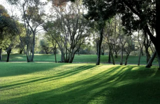 the saxon hotel garden, johannesberg, south africa safaris