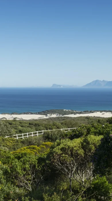 beach view, grootbos private nature reserve, south africa