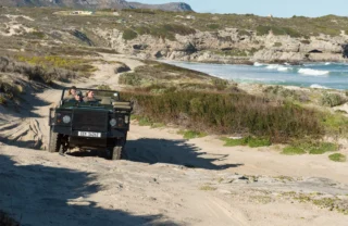jeep safaris, grootbos private nature reserve, south africa