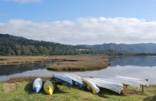 canoes in phantom forest, knysna, south africa safaris