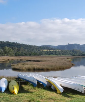 canoes in phantom forest, knysna, south africa safaris