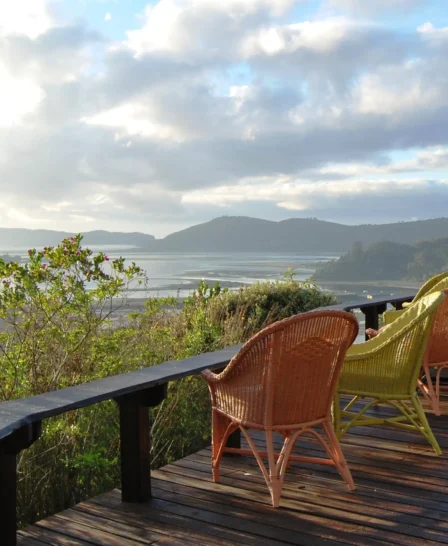 view of phantom forest, knysna, south africa safaris