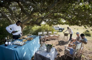 bush picnic, de hoop nature reserve, south africa
