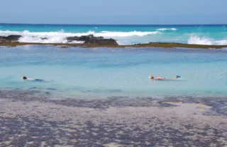 snorkelling, de hoop nature reserve, south africa