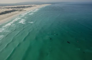 whale watching, de hoop nature reserve, south africa