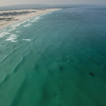 whale watching, de hoop nature reserve, south africa