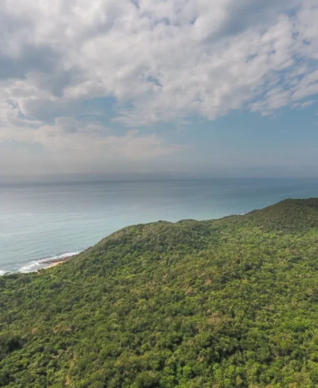 coastline view, isimangaliso wetland park, south africa