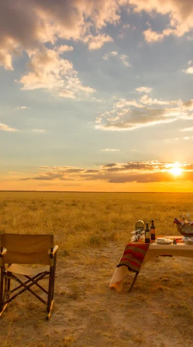 tau pan sundowners botswana yellow zebra safaris
