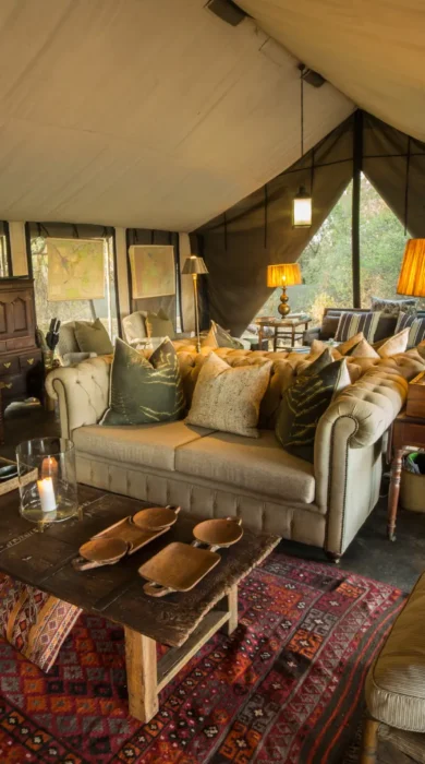 main area machaba botswana yellow zebra safaris