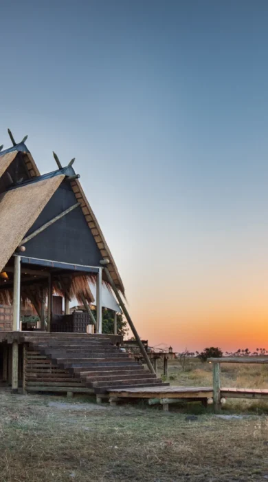 selinda camp botswana sun rise yellow zebra safaris
