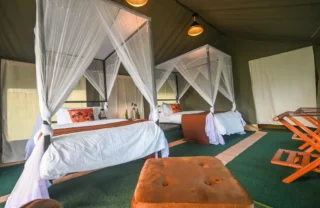 Tent, Nasikia Mobile Migration Camp, Serengeti, Tanzania