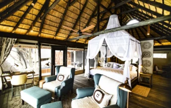 kings pool botswana double room yellow zebra safaris