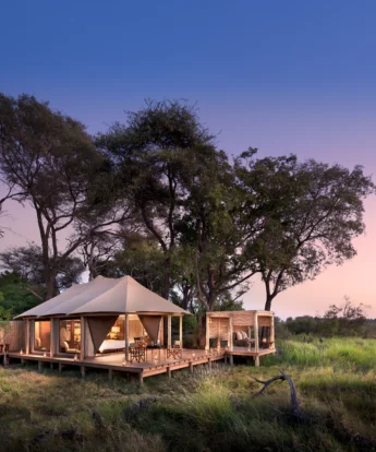 andBeyond Nxabega Okavango Tented Camp Tented Suite7