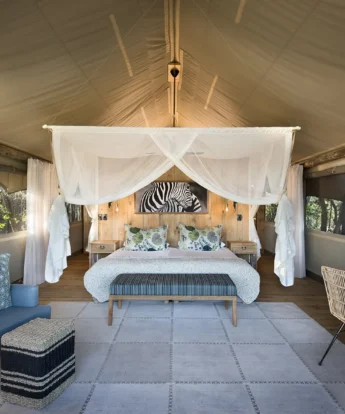 Botswana safari room