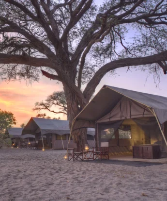 Savute under canva tent2