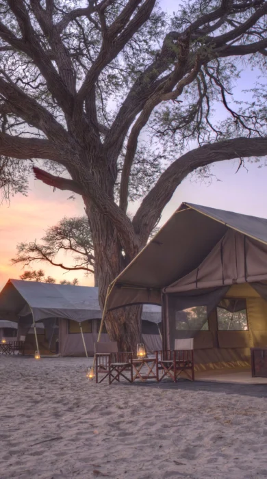 Savute under canva tent2
