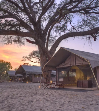 Savute under canva tent2