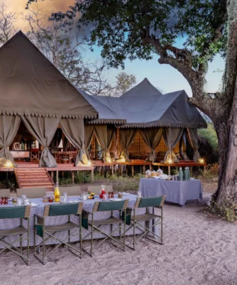 Dining, Duke's East Camp, Okavango Delta, Botswana