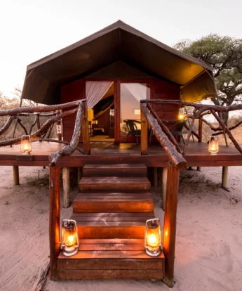 camp savuti botswana yellow zebra safaris
