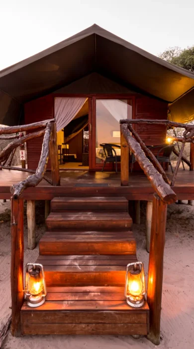 camp savuti botswana yellow zebra safaris