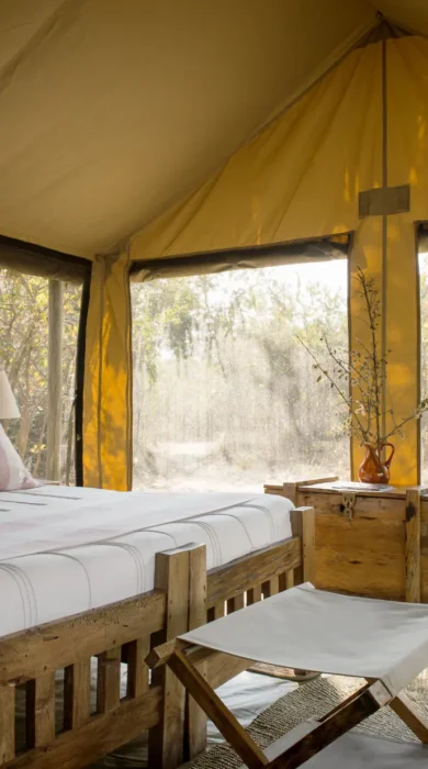 Kigelia Ruaha12