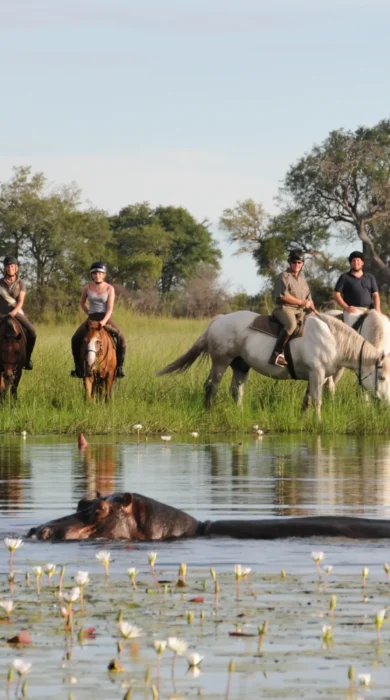 Horseback Safari, Macatoo Camp, Okavango Delta, Botswana