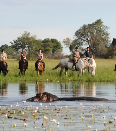 Horseback Safari, Macatoo Camp, Okavango Delta, Botswana