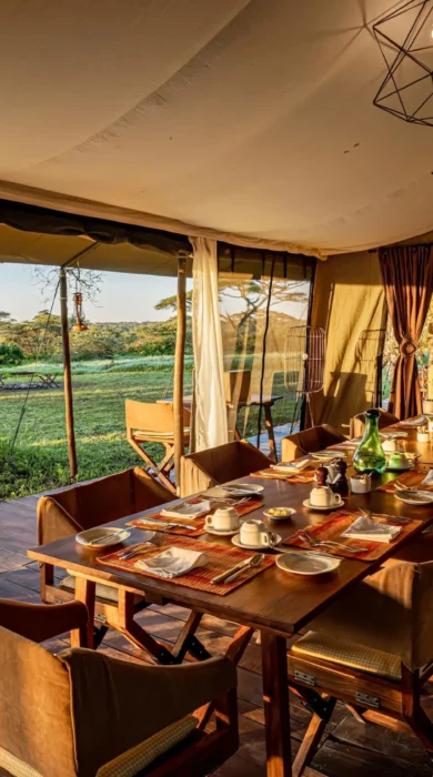 dining, camp fire, lemala mara, the serengeti, tanzania