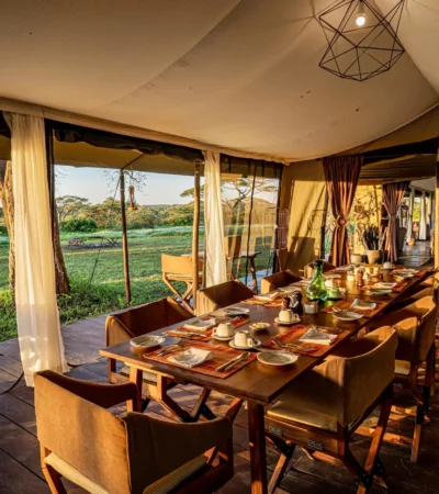 dining, camp fire, lemala mara, the serengeti, tanzania