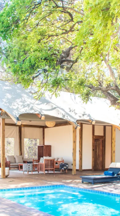 kwara camp pool area botswana yellow zebra safaris