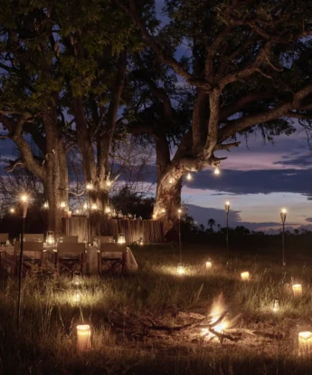 sanctuary baines camp dining night botswana yellow zebra safaris
