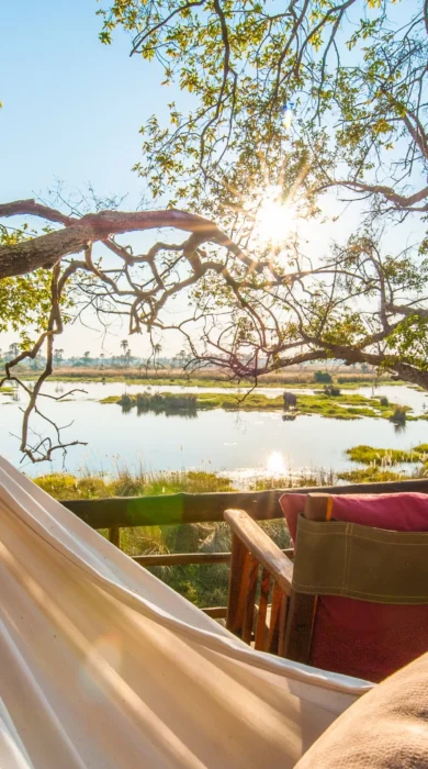 delta camp hammock botswana yellow zebra safaris