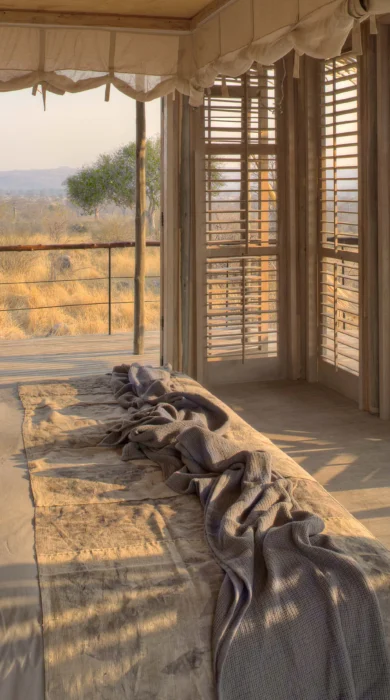 Lodge room baobab forest view