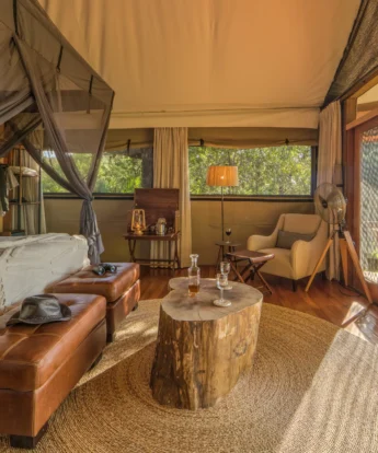 kanana bedroom tent view botswana yellow zebra safaris