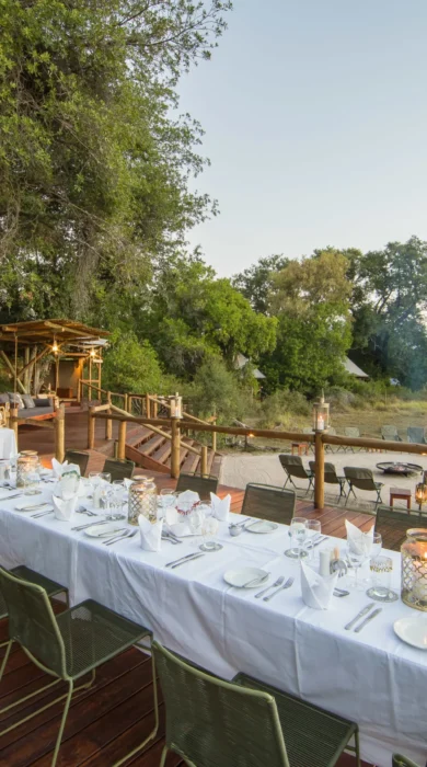 kanana boma botswana yellow zebra safaris