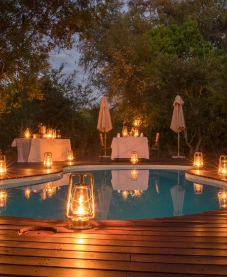 kanana pool botswana yellow zebra safaris