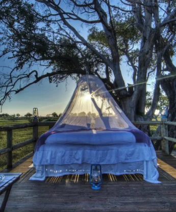 kanana sleep out botswana yellow zebra safaris
