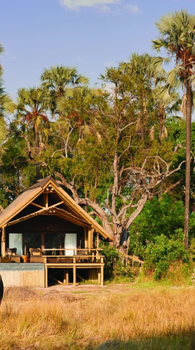 belmond eagle island camp exterior view botswana yellow zebra safaris