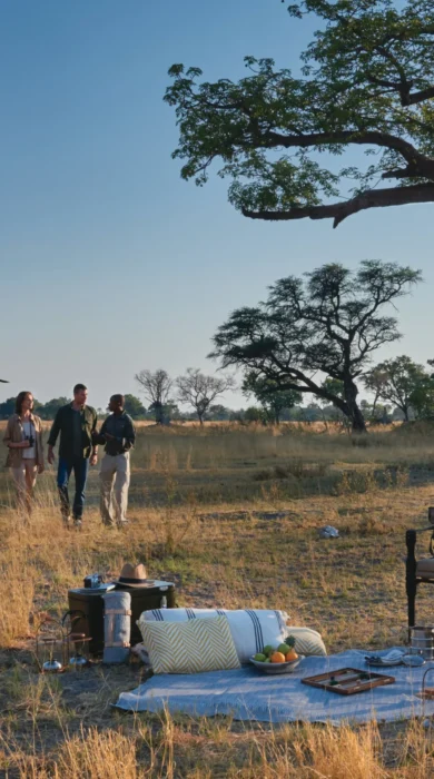 belmond eagle bush picnic exterior view botswana yellow zebra safaris