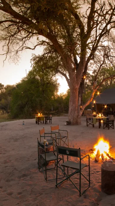 firepit machaba botswana yellow zebra safaris