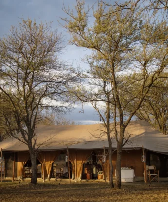 Serian Serengeti Kusini outside view tent