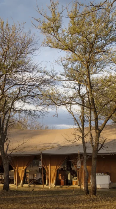 Serian Serengeti Kusini outside view tent