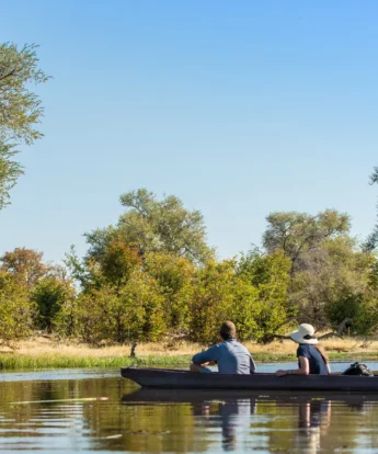 mokoro safari machaba camp botswana yellow zebra safaris