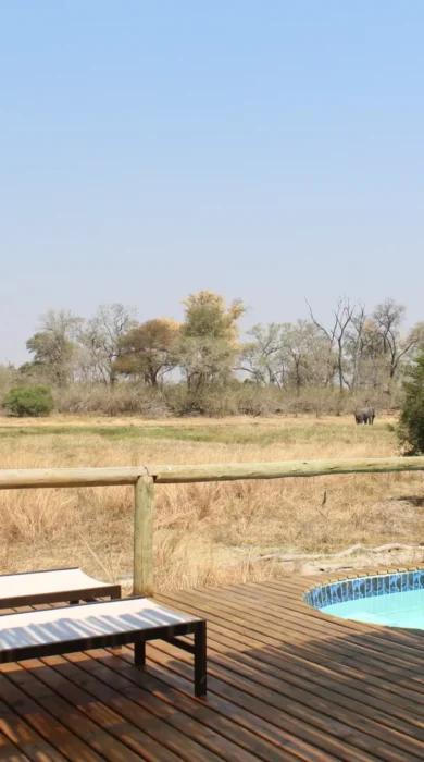 Sango safari pool Botswana