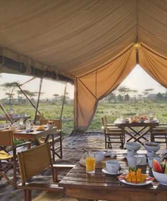 main tent, and beyond serengeti under canvas, tanzania