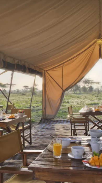 main tent, and beyond serengeti under canvas, tanzania