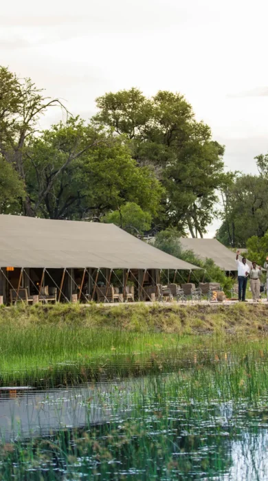 machaba safaris gomoti camp outside