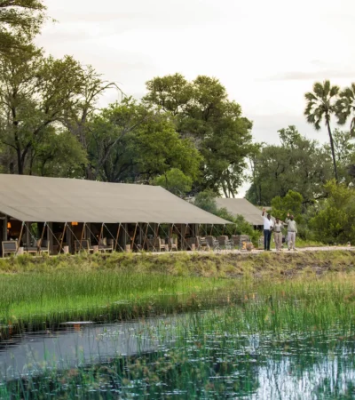 machaba safaris gomoti camp outside