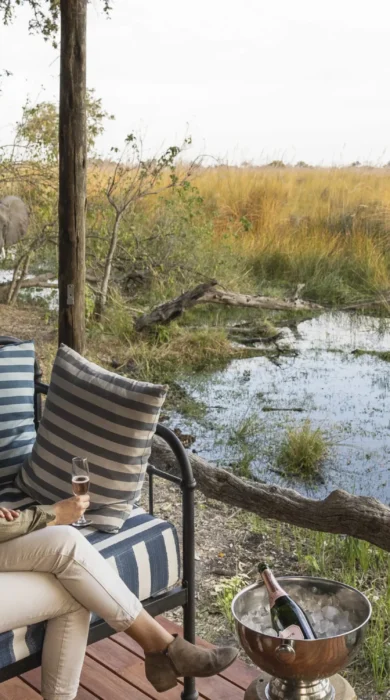 game, shinde footsteps, okavango delta, botswana