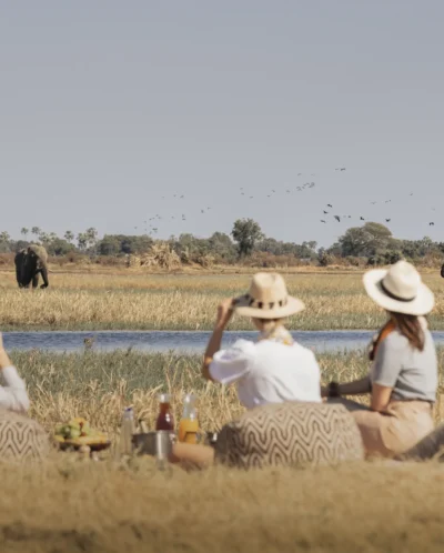 Picnic, Little Mombo, Moremi Game Reserve, Botswana